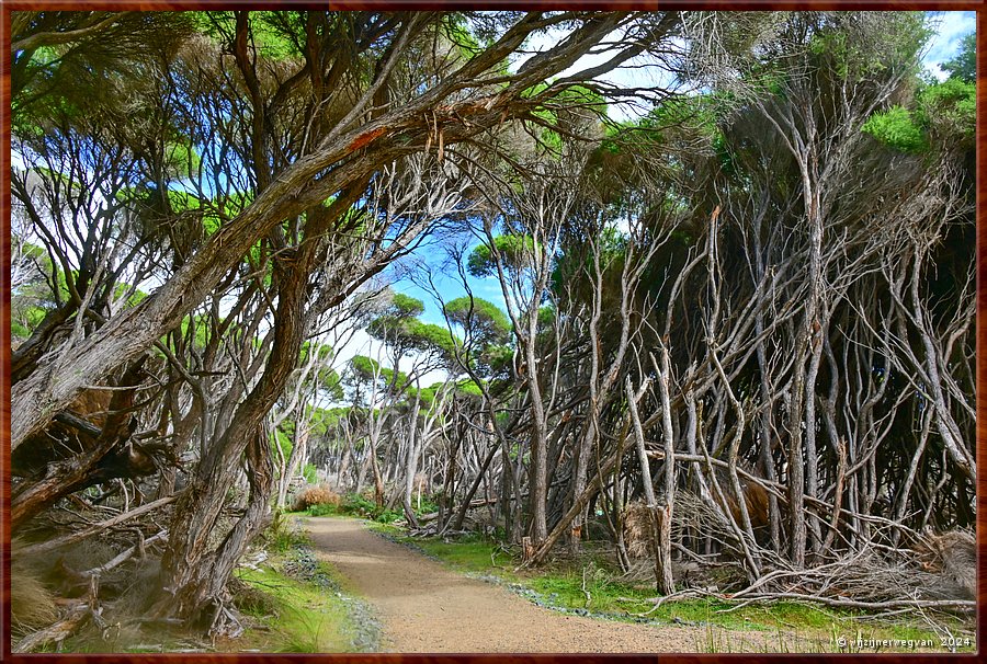 

Tura Beach
Tura Headland Walk  -  6/28