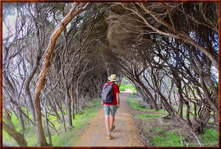 

Tura Beach
Tura Headland Walk  -  8/28