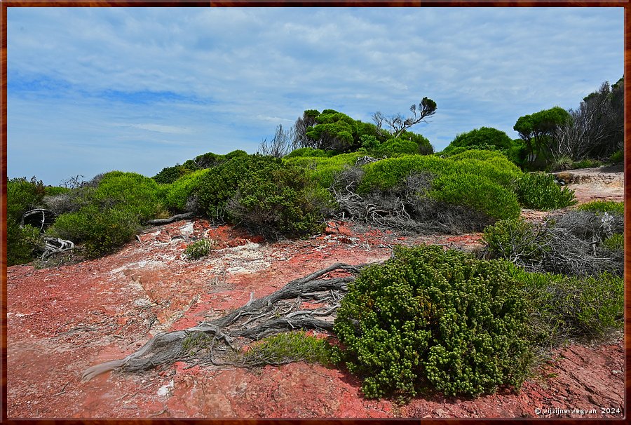 

Tura Beach
Tura Headland Walk  -  11/28