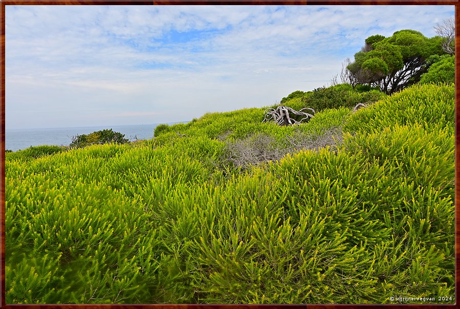 

Tura Beach
Tura Headland Walk  -  14/28