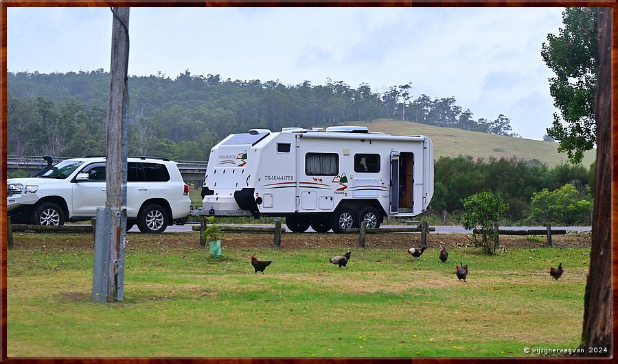 

Genoa
Genoa Camp Park
Maar eieren, ho maar  -  2/23