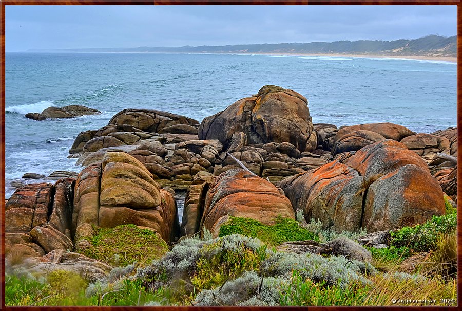 

Cape Conran
Salmon Rocks
Olifant klautert uit de zee  -  14/23