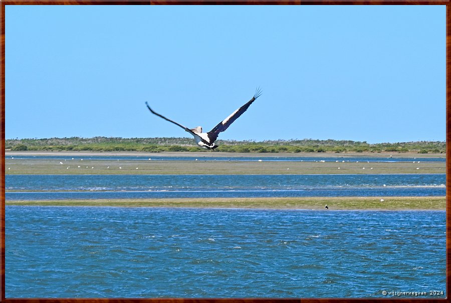 

Port Albert
Tasman Zee
Pelikaanvlucht  -  6/26