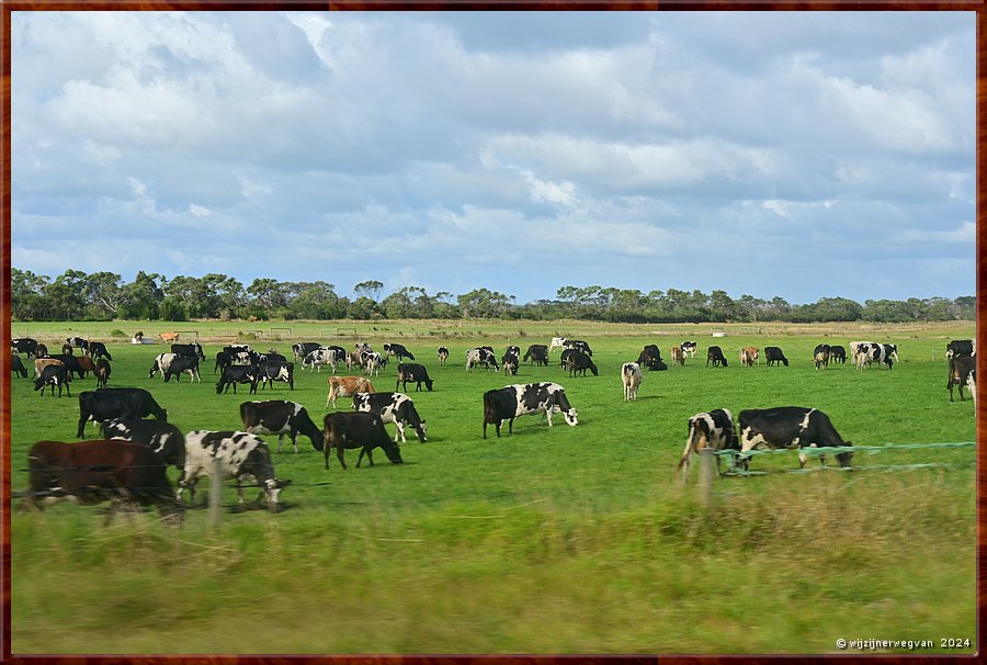 

Op weg naar Wilsons Promontory National Park  -  2/51