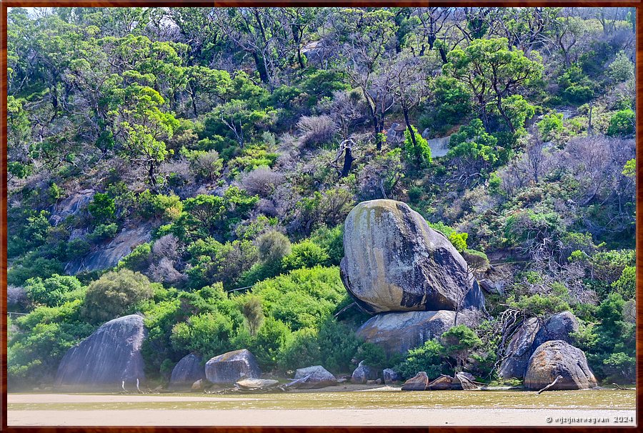 

Wilsons Promontory National Park
Tidal River
Whale Rock (hij lijkt er echt op!)  -  12/51