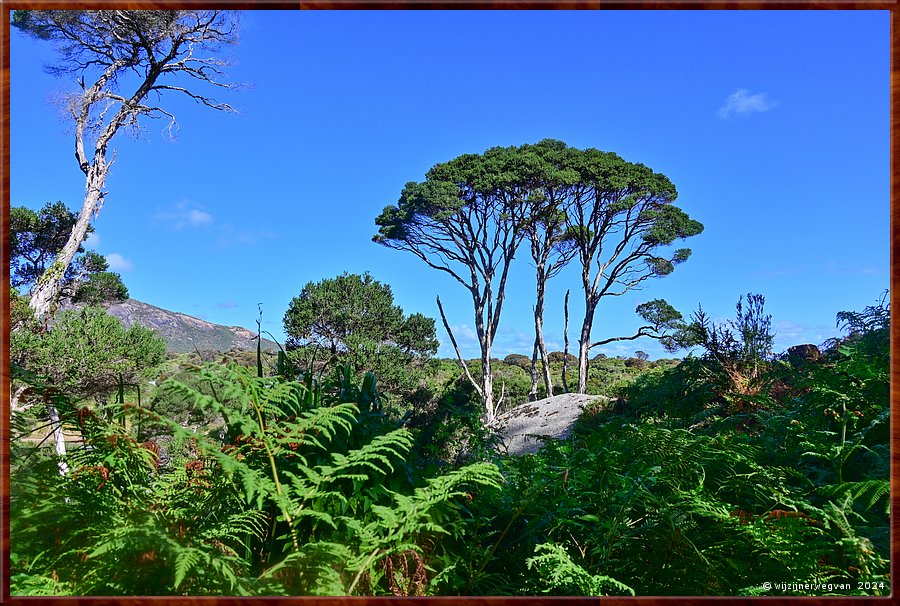 

Wilsons Promontory National Park
Squeaky Beach wandeling  -  19/51