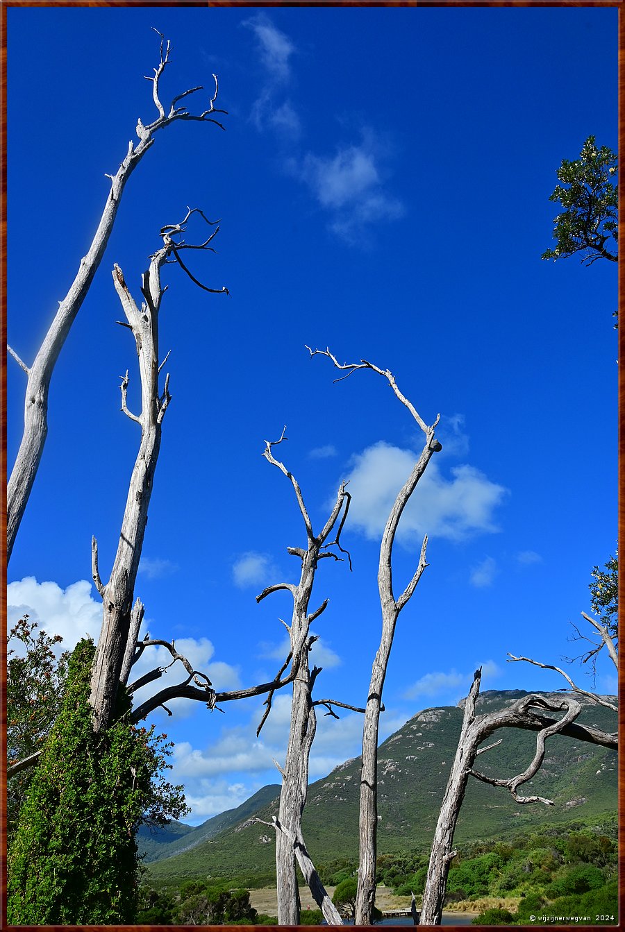 

Wilsons Promontory National Park
Squeaky Beach wandeling  -  20/51