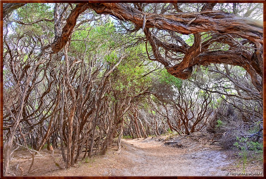 

Wilsons Promontory National Park
Squeaky Beach wandeling  -  25/51