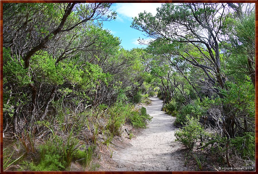 

Wilsons Promontory National Park
Squeaky Beach wandeling  -  26/51