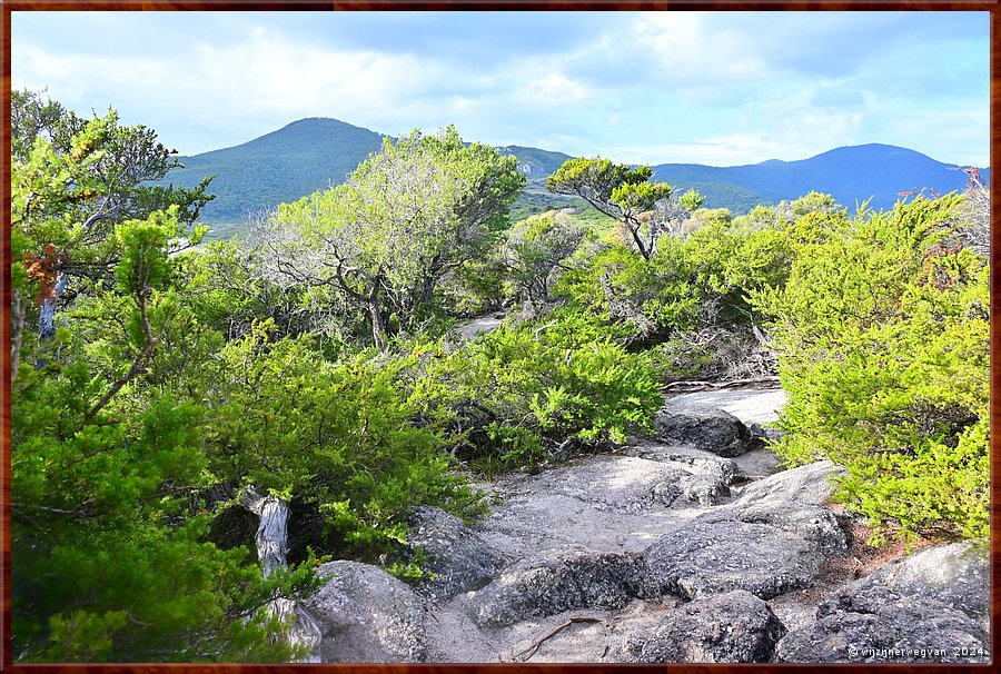 

Wilsons Promontory National Park
Pillar Point  -  40/51