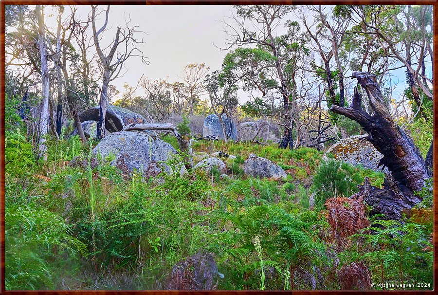 

Wilsons Promontory National Park  -  45/51