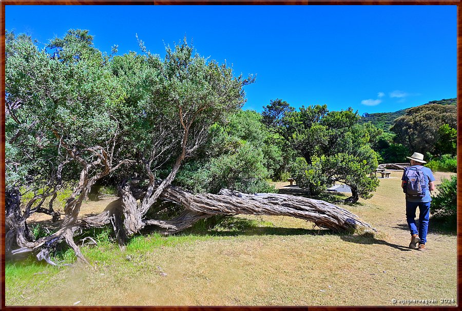 

Wilsons Promontory National Park
Tidal River  -  3/35