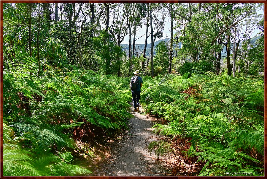 

Wilsons Promontory National Park
Lilly Pilly Nature Walk
Regenwoud  -  19/35