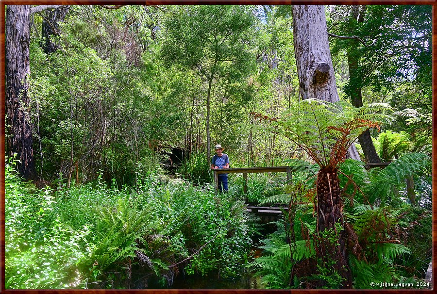 

Wilsons Promontory National Park
Lilly Pilly Gully
Hier leven klimvissen!
Die kunnen uit het water rotsen tot 10 meter hoog beklimmen!!  -  21/35