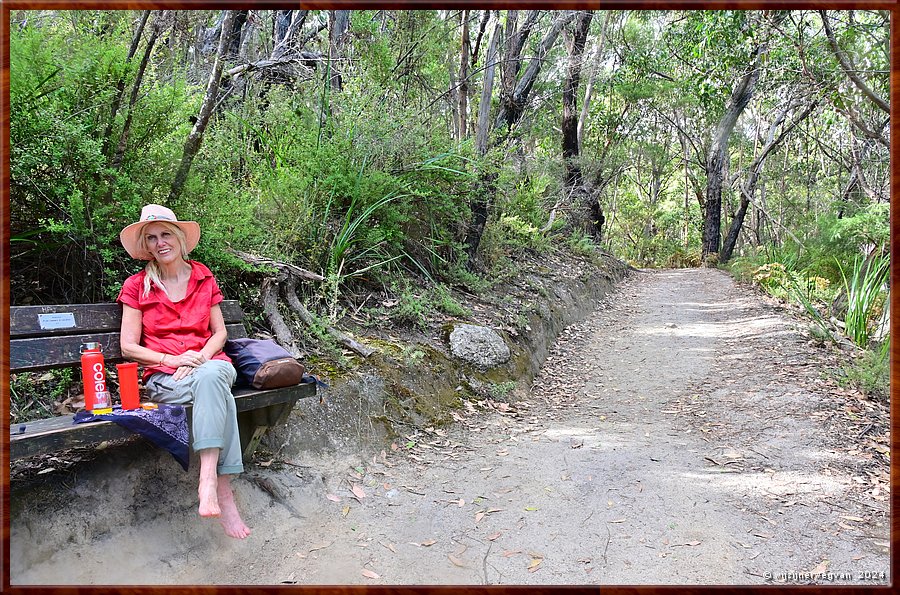 

Wilsons Promontory National Park
Lilly Pilly Nature Walk
Mount Bishop  -  26/35