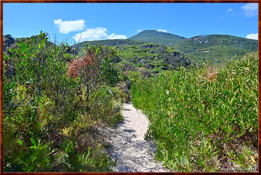 

Wilsons Promontory National Park
Whisky Bay duinpad  -  13/32