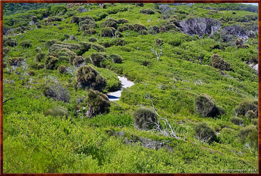 

Wilsons Promontory National Park
Whisky Bay  -  14/32