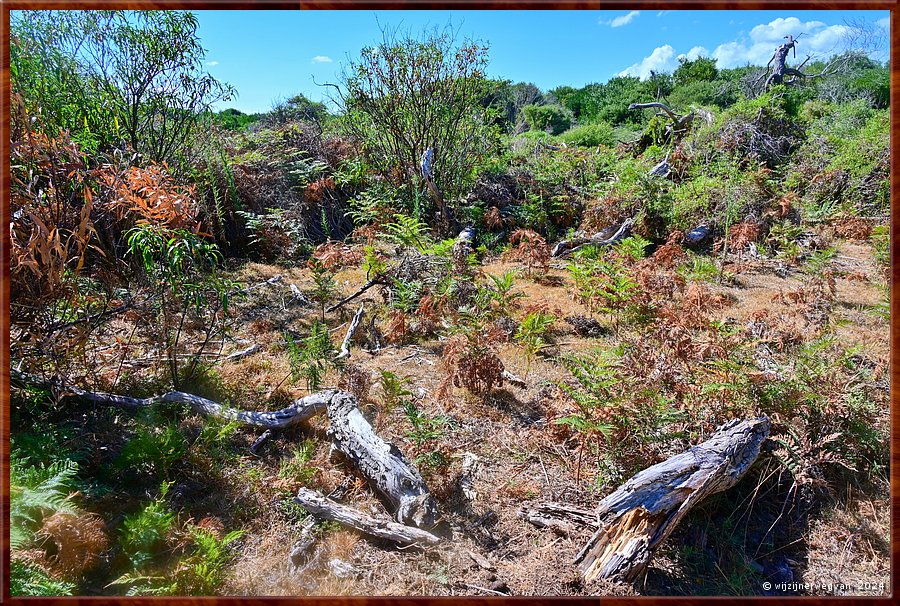 

Wilsons Promontory National Park
Prom Wildlife Walk  -  16/32