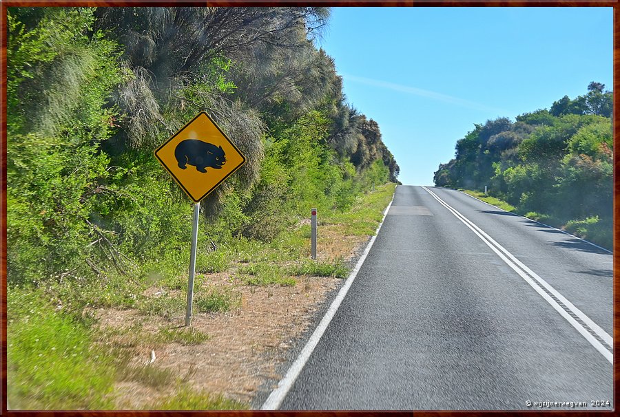 

Wilsons Promontory National Park
Onderweg naar Shallow Inlet  -  19/32