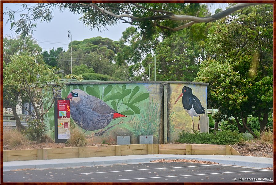 

Venus Bay, Jupiter Boulevard
Tank
'Bird Life', Amanda Diamond (2019)  -  8/35