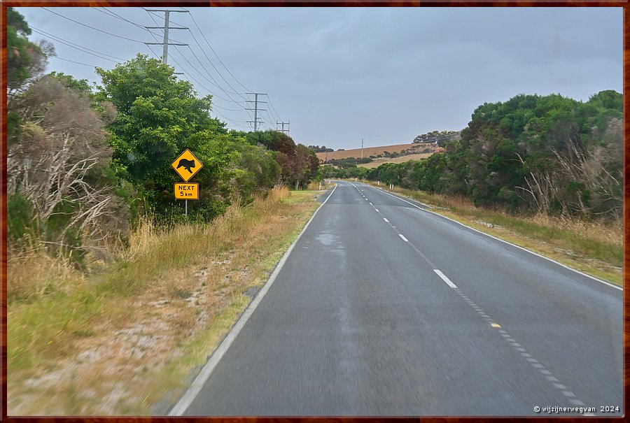 

Onderweg naar Phillip Island
Overstekende koala's !  -  10/35