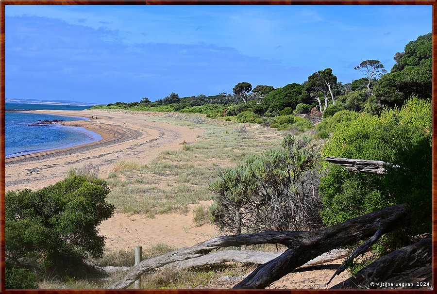 

Phillip Island
Red Rocks  -  15/35