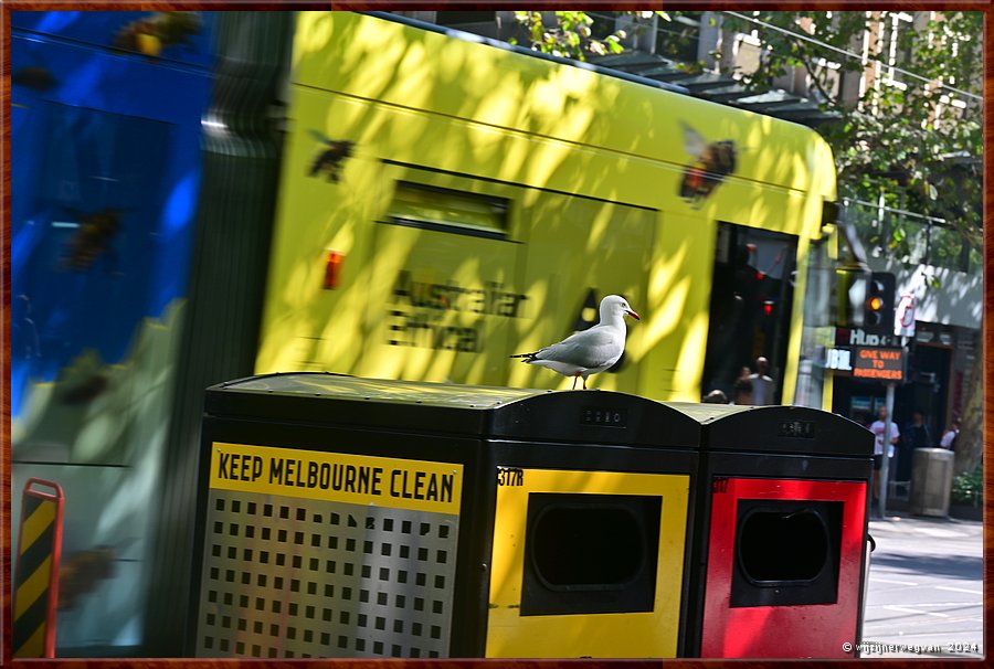 

Melbourne
Flinders street  -  15/68