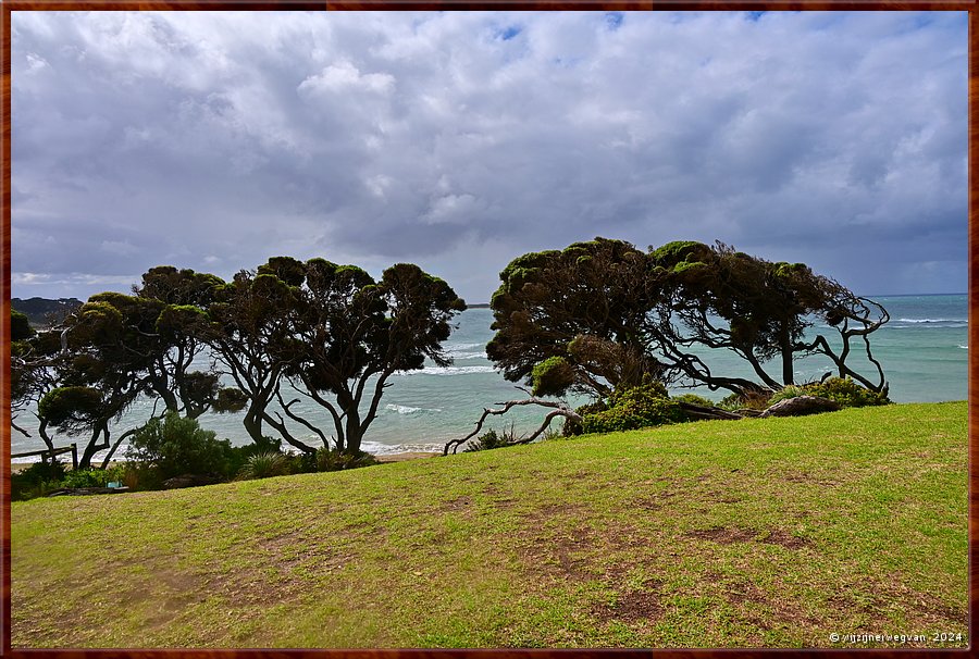 

Torquay
Surf Coast Walk  -  14/24