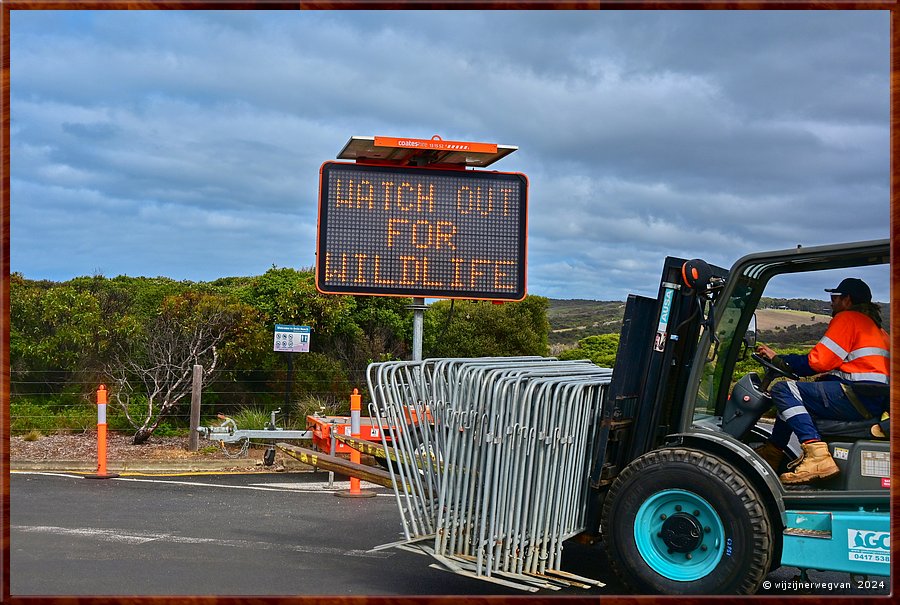 

Bells Beach
Winki Pop
Rip Curl Pro, dranghekken kunnen weer een jaartje in de kast  -  6/56