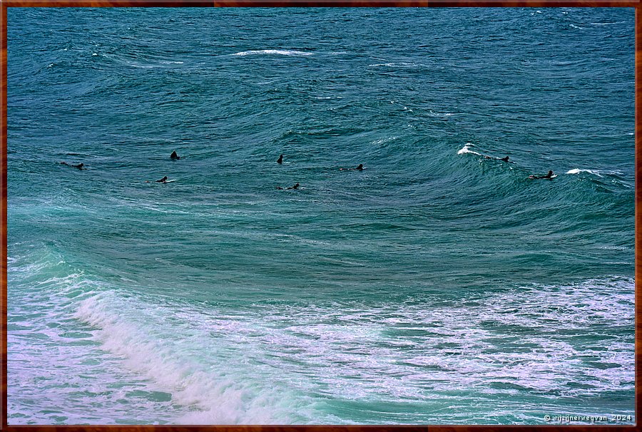 

Bells Beach
Winki Pop
Waiting fot the perfect wave  -  8/56