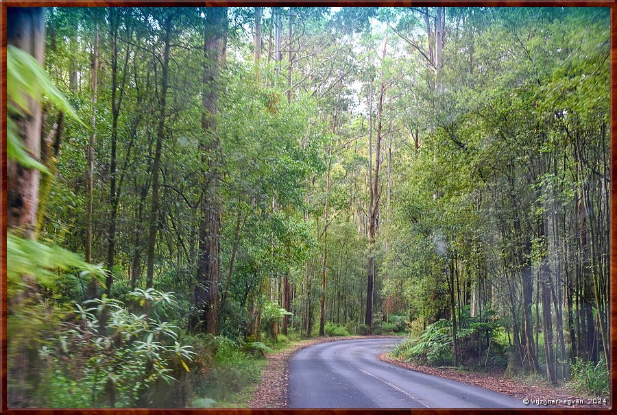 

Op weg naar Great Otway National Park  -  26/56