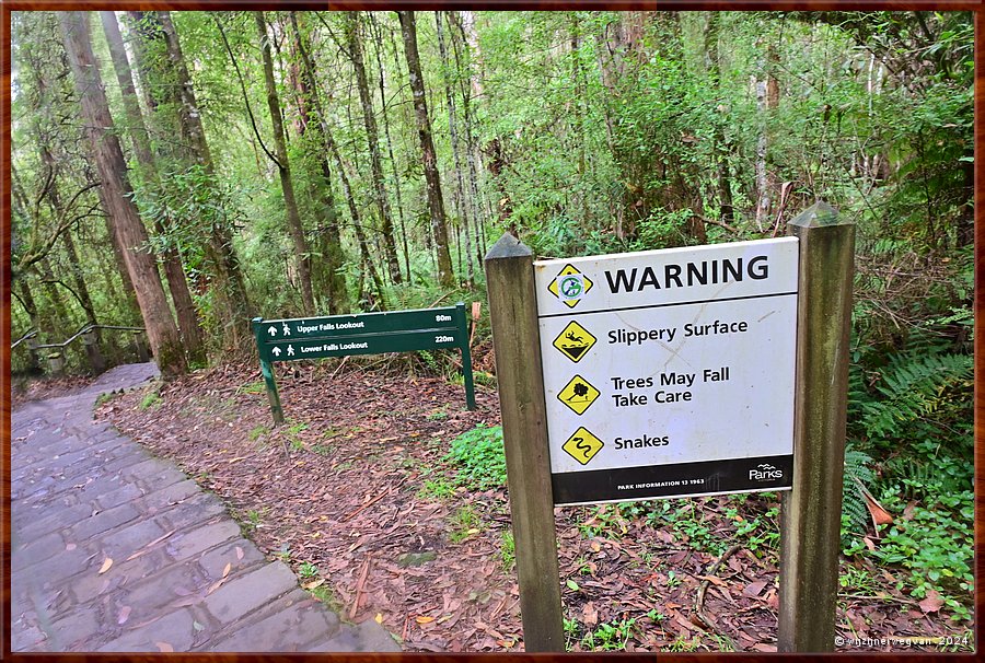 

Great Otway National Park, Erskine Falls
Slippery surface, okay. 
Snakes, mmm ... okay. 
Trees may fall ... ja hallo!  -  28/56