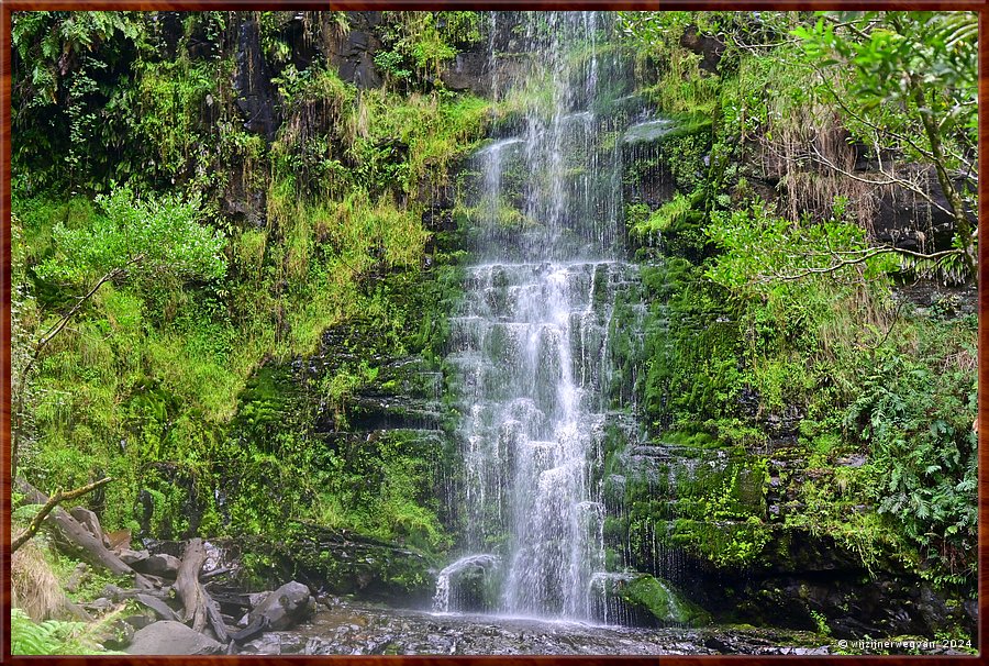 

Great Otway National Park
Erskine Falls  -  33/56