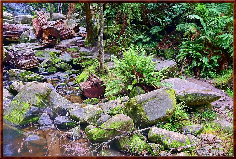 

Great Otway National Park
Erskine Falls  -  34/56