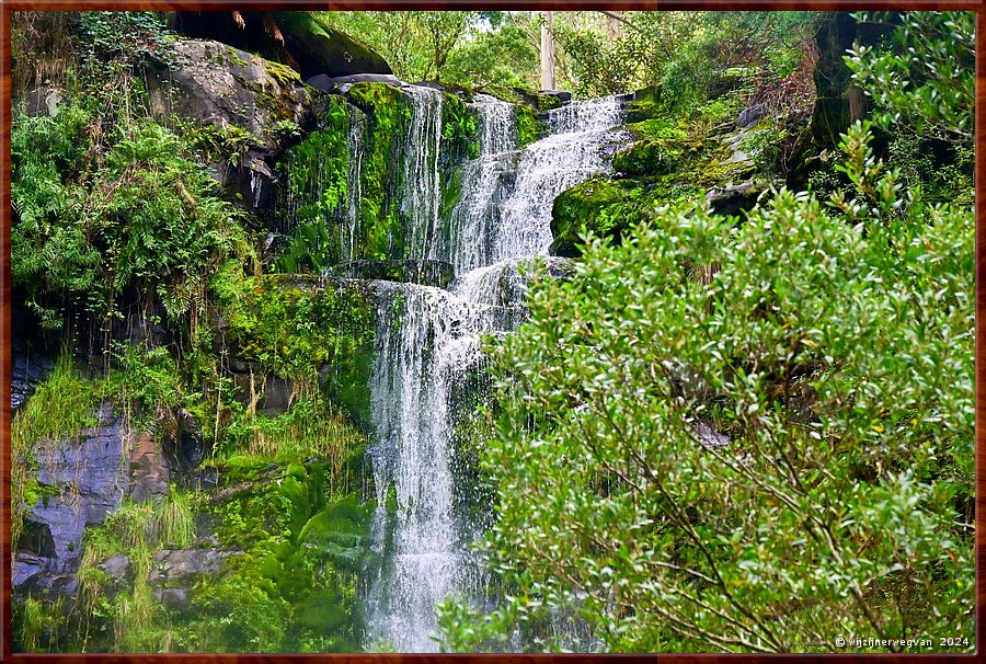 

Great Otway National Park
Erskine Falls  -  36/56