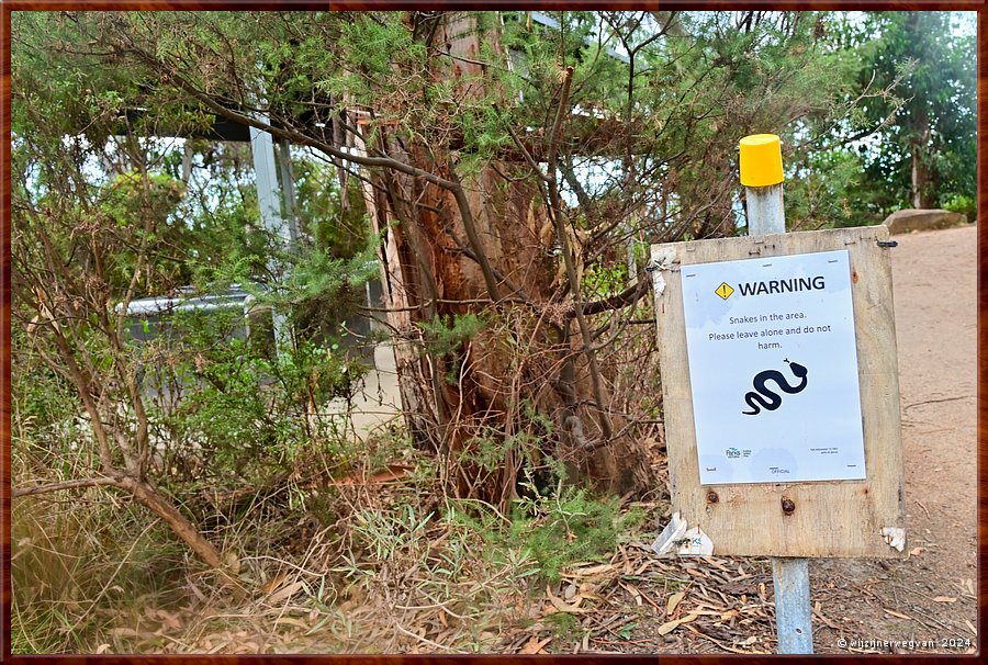 

Great Otway National Park
Separation Creek
Jamieson Creek Campground
Waar zullen we onze bus eens neerzetten ...  -  54/56