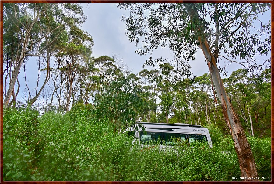 

Great Otway National Park
Separation Creek
Jamieson Creek Campground
HIer maar dan ...  -  55/56