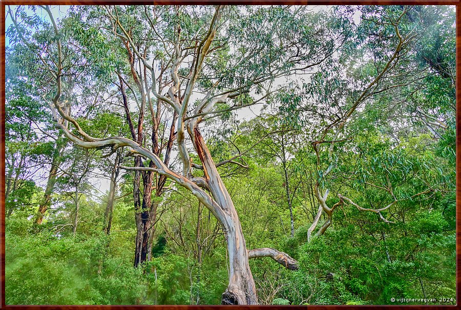 

Kennett River 
Kennett River Nature Walk  -  18/40