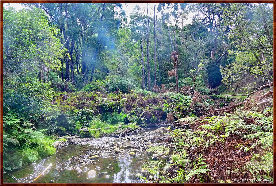 

Kennett River 
Kennett River Nature Walk  -  20/40