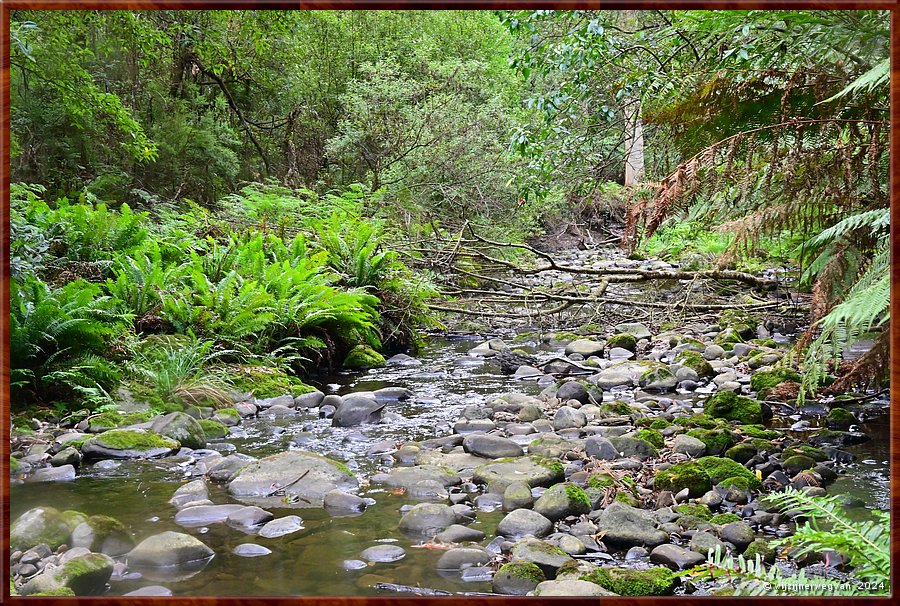 

Kennett River 
Kennet River
Skull Rock  -  24/40