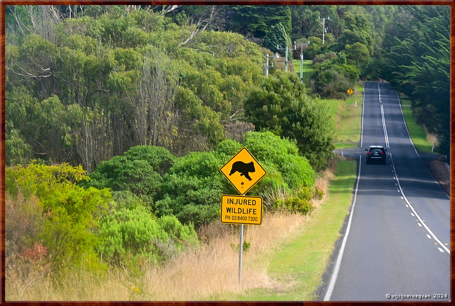 

Great Otway National Park
Op weg naar Maits Rest  -  3/48