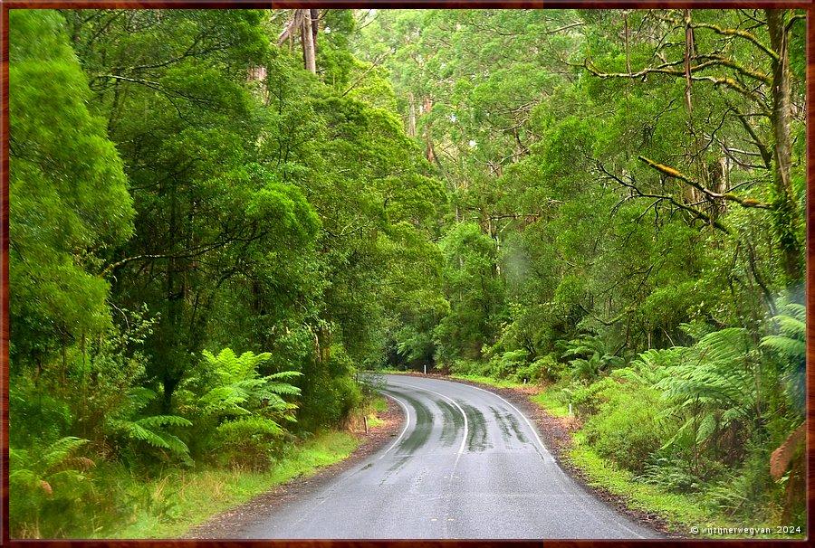 

Great Otway National Park
Op weg naar Maits Rest  -  4/48