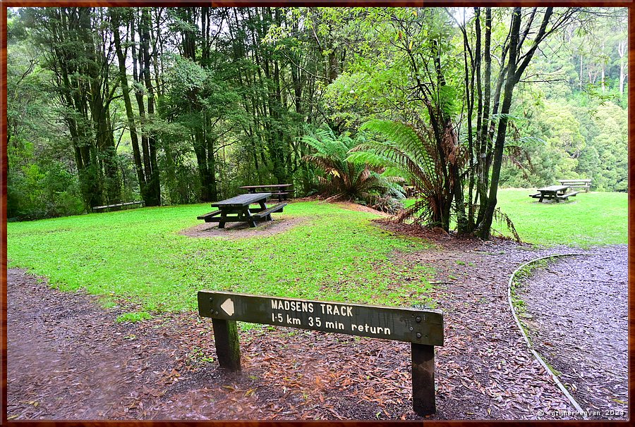 

Great Otway National Park 
Melba Gully
Madsen's Track  -  28/48