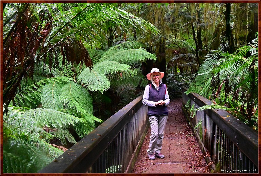 

Great Otway National Park 
Melba Gully
Madsen's Track  -  32/48