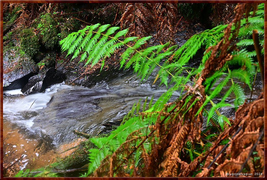 

Great Otway National Park 
Melba Gully, Madsen's Track 
Anne's Cascade  -  35/48