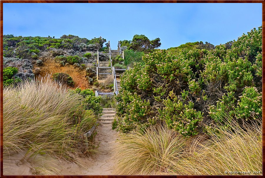 

Bay of Islands Coastal Park 
Bay of Martyrs
Kustplanten hebben een zwaar leven! 
Ze moeten zout, droogte, wind, vuur en ondiepe grond verdragen.  -  13/39