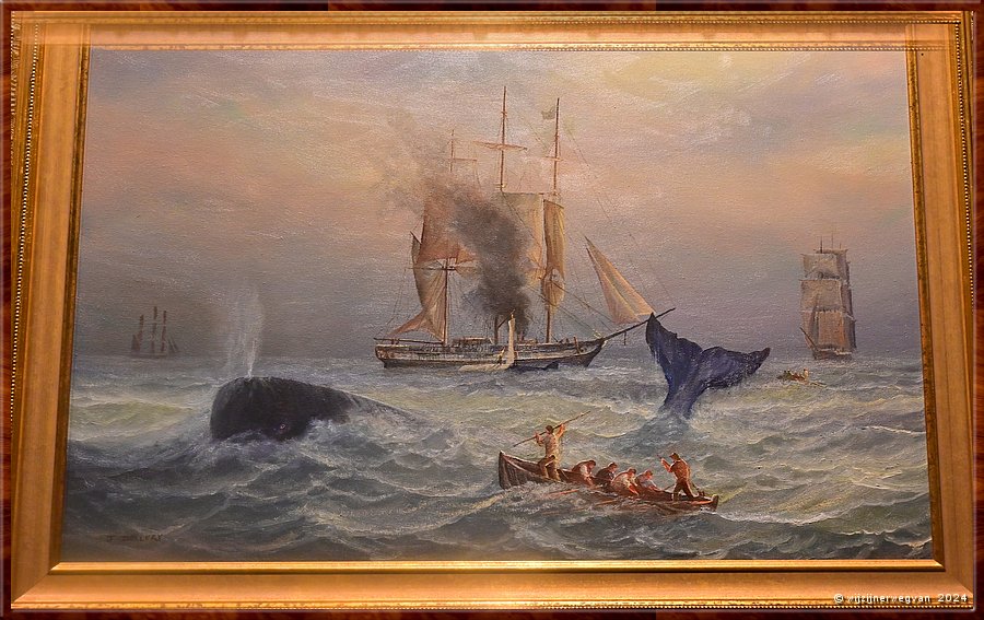 

Warrnambool
Flagstaff Hill Maritime Village
'The Chase', John Dollery
De walvisjacht was n van de vroege industrien in Victoria. 
Het leidde tot het bijna geheel uitroeien van de Southern Right Whale.  -  24/110