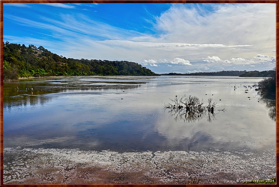 

Tower Hill
Tower Hill Wildlife Reserve  -  18/36