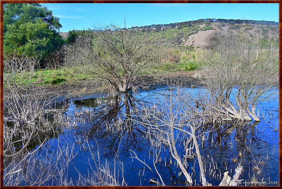 

Tower Hill, 
Tower Hill Wildlife Reserve
Lava Tongue Boardwalk  -  28/36