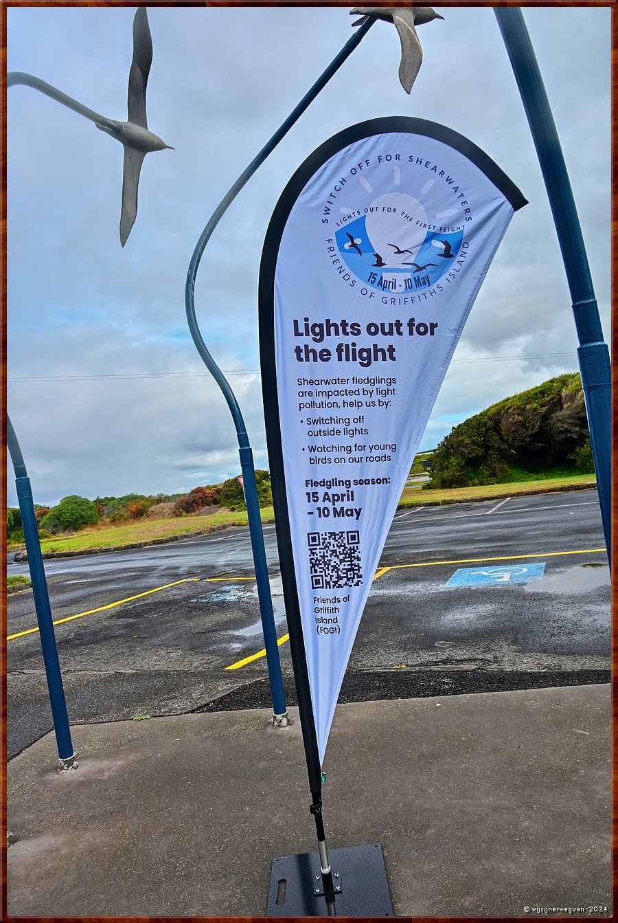 

Port Fairy
Griffiths Island
Lights out for the first flight
De jongen kunnen met drie maanden nog niet goed zien, 
en kunnen gedesorinteerd raken door felle lichten
Maar Port Fairy helpt, zij doen het licht uit !  -  6/40